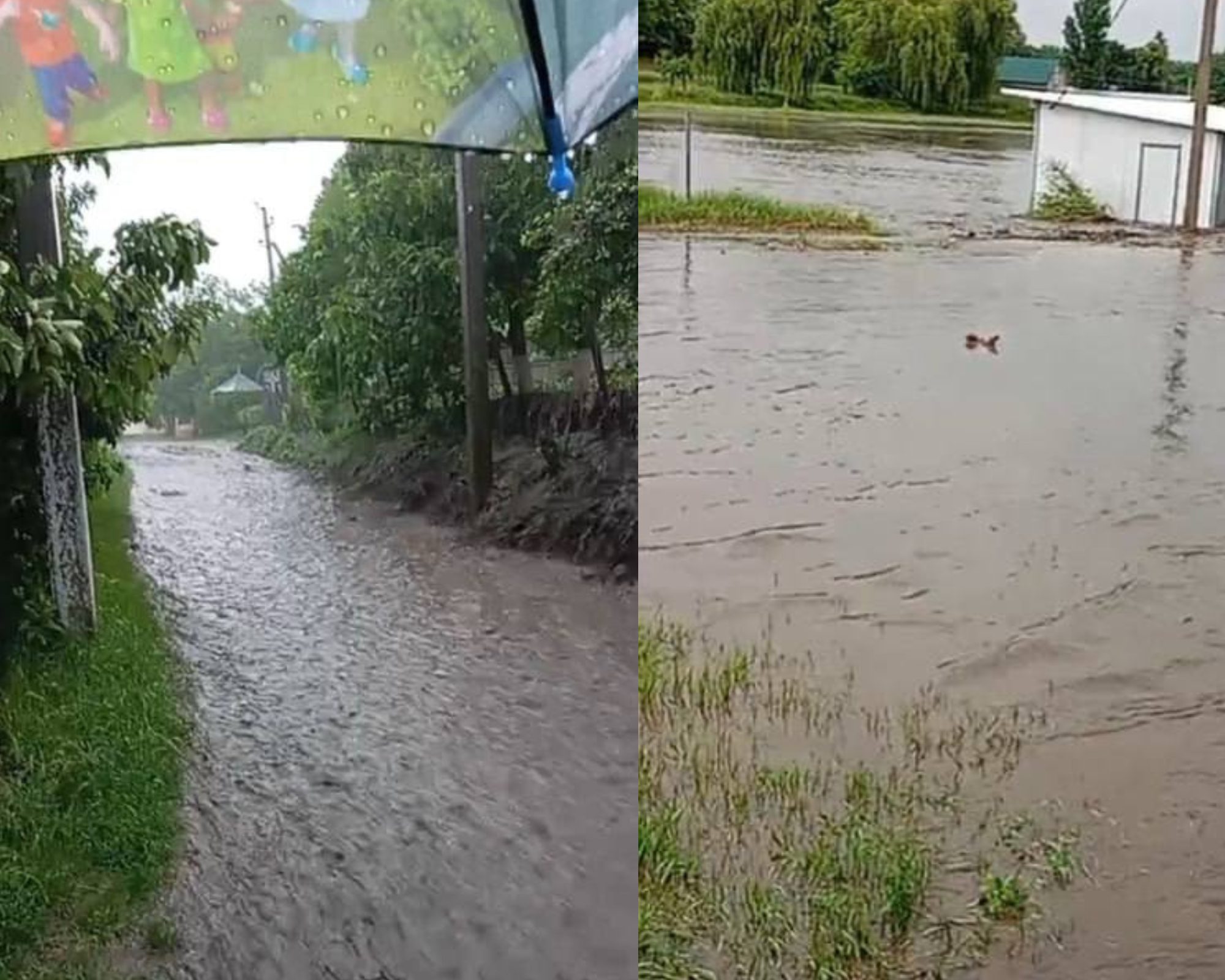 Село Пепень в Сынжерейском районе затопило после дождей