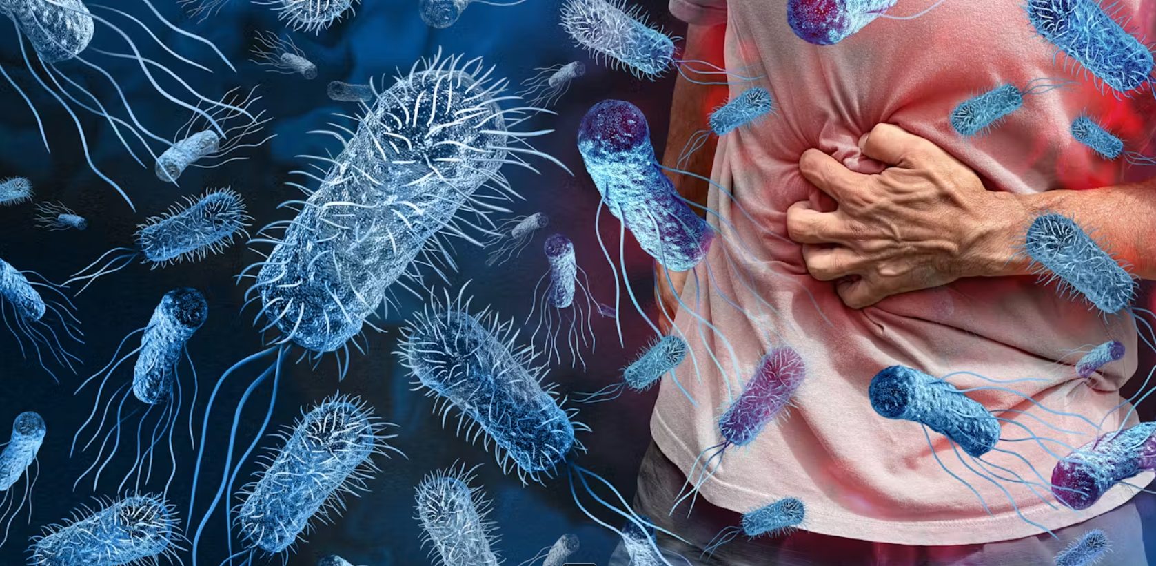 ANSP подтвердила очаг Salmonella в Кишиневе: пострадали 26 человек
