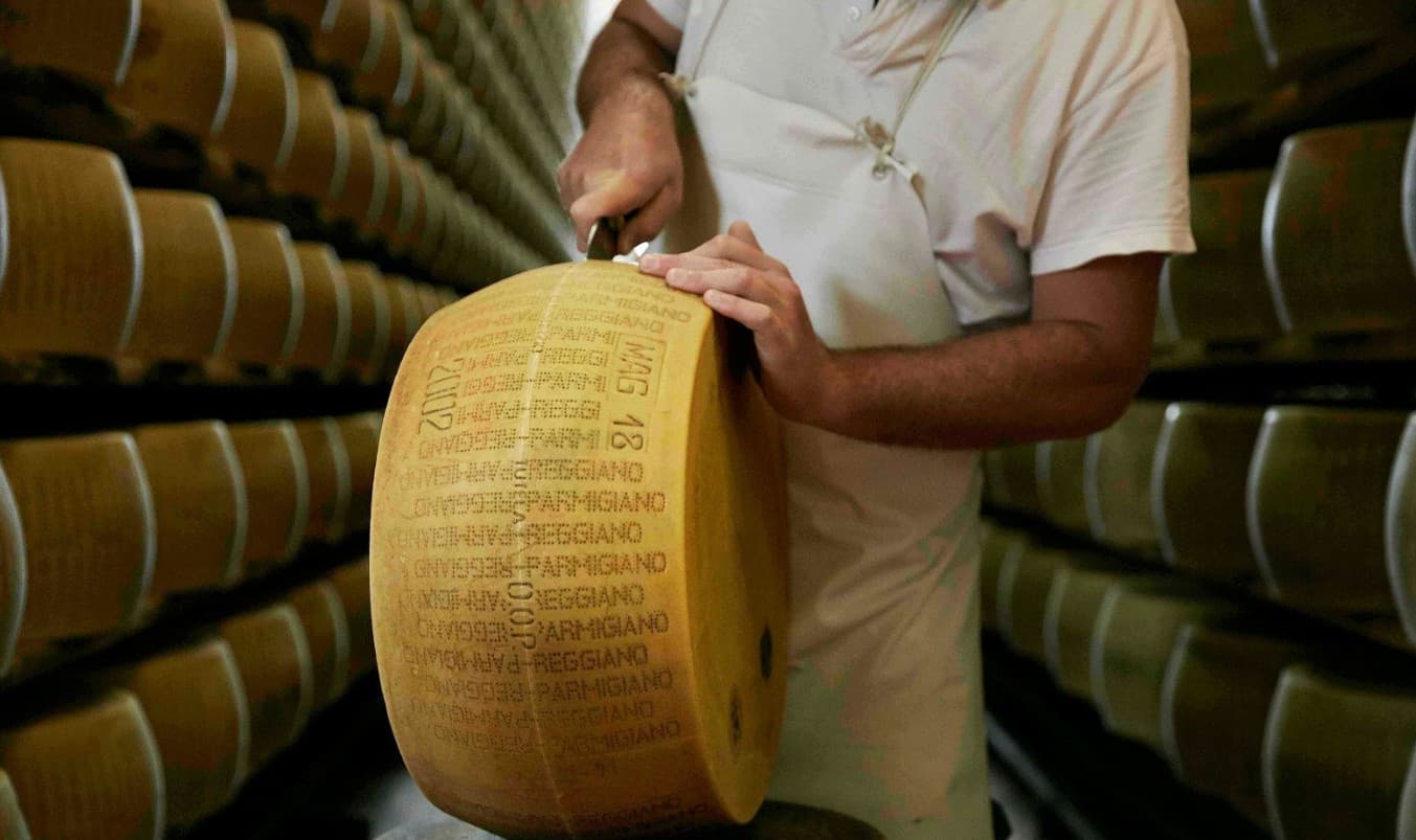 Valurile de căldură amenință producția de parmezan în Italia