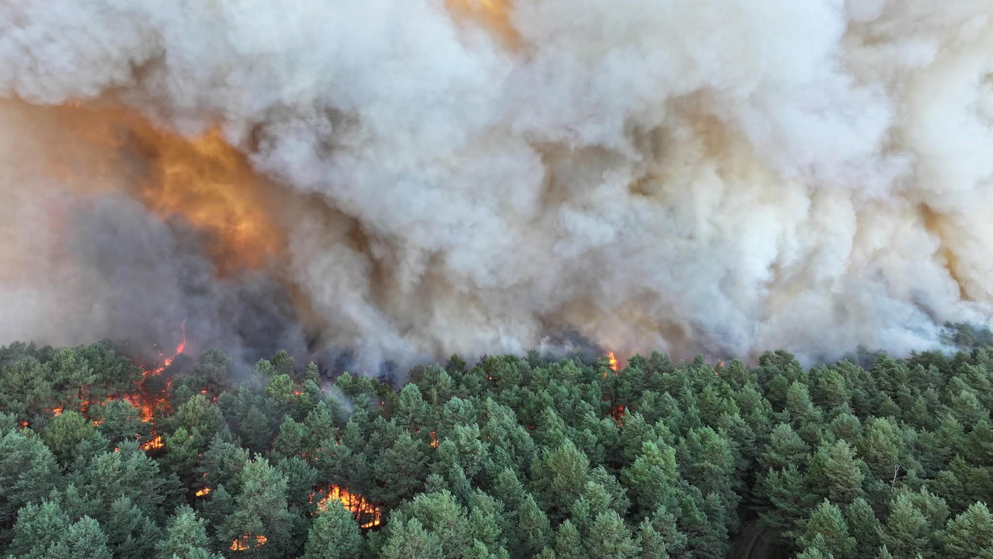 Incendii devastatoare în Europa: Franța folosește avioane-bombardier pentru a opri „zidul de foc”