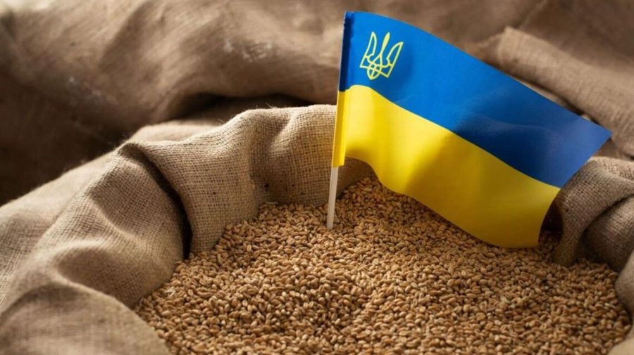 Реакция Министерства после критики транзита украинского зерна: «Молдавский экспорт не будет вытеснен»