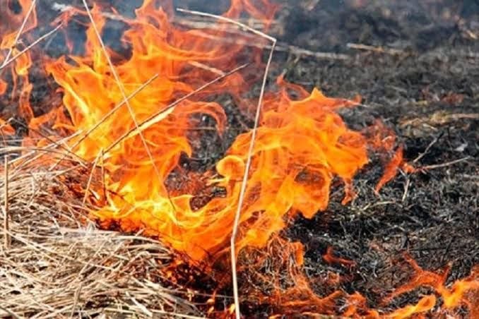 62-летний мужчина получил ожоги, пытаясь потушить пожар