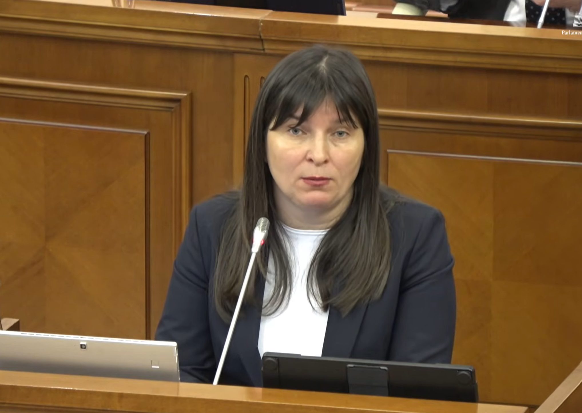 „De ce luați bani de la omul care sărăcește?” Ministra Finanțelor, luată la întrebări în Parlament