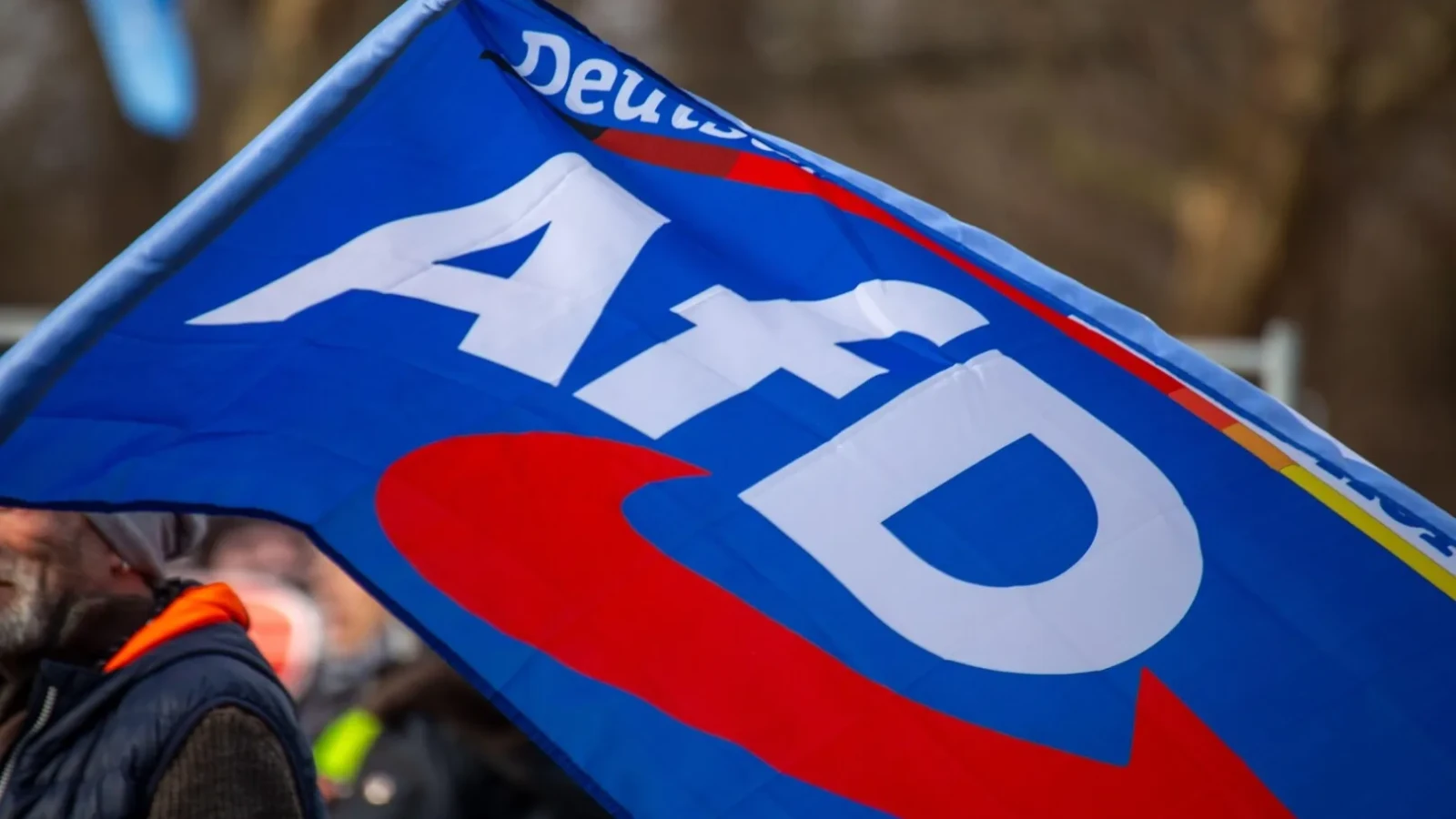 AfD continuă să crească în Germania. Scor record la alegerile locale din Saxonia Inferioară