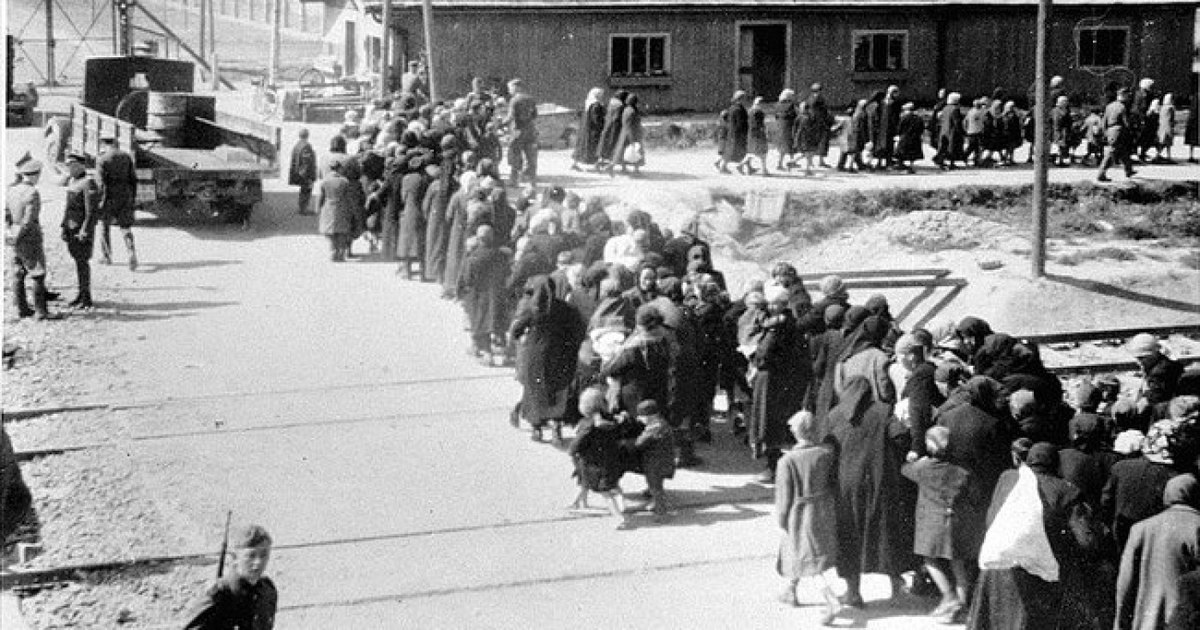 В Германии расследуют дело 105-летнего мужчины, подозреваемого в преступлениях в нацистском лагере