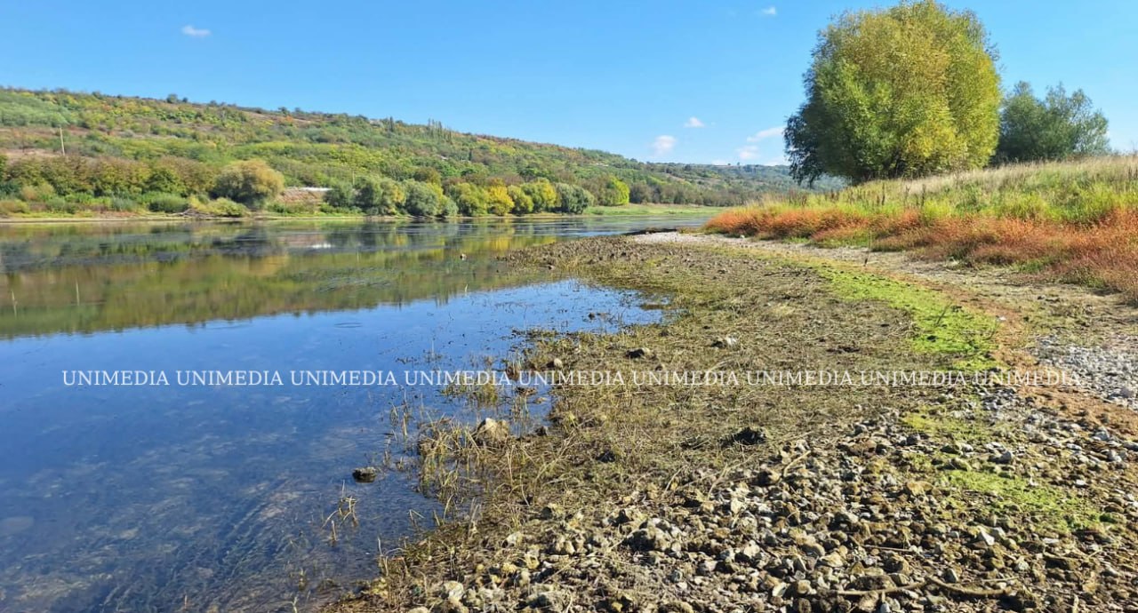 Новые кадры с Днестра: Уровень воды в Сороках резко снизился