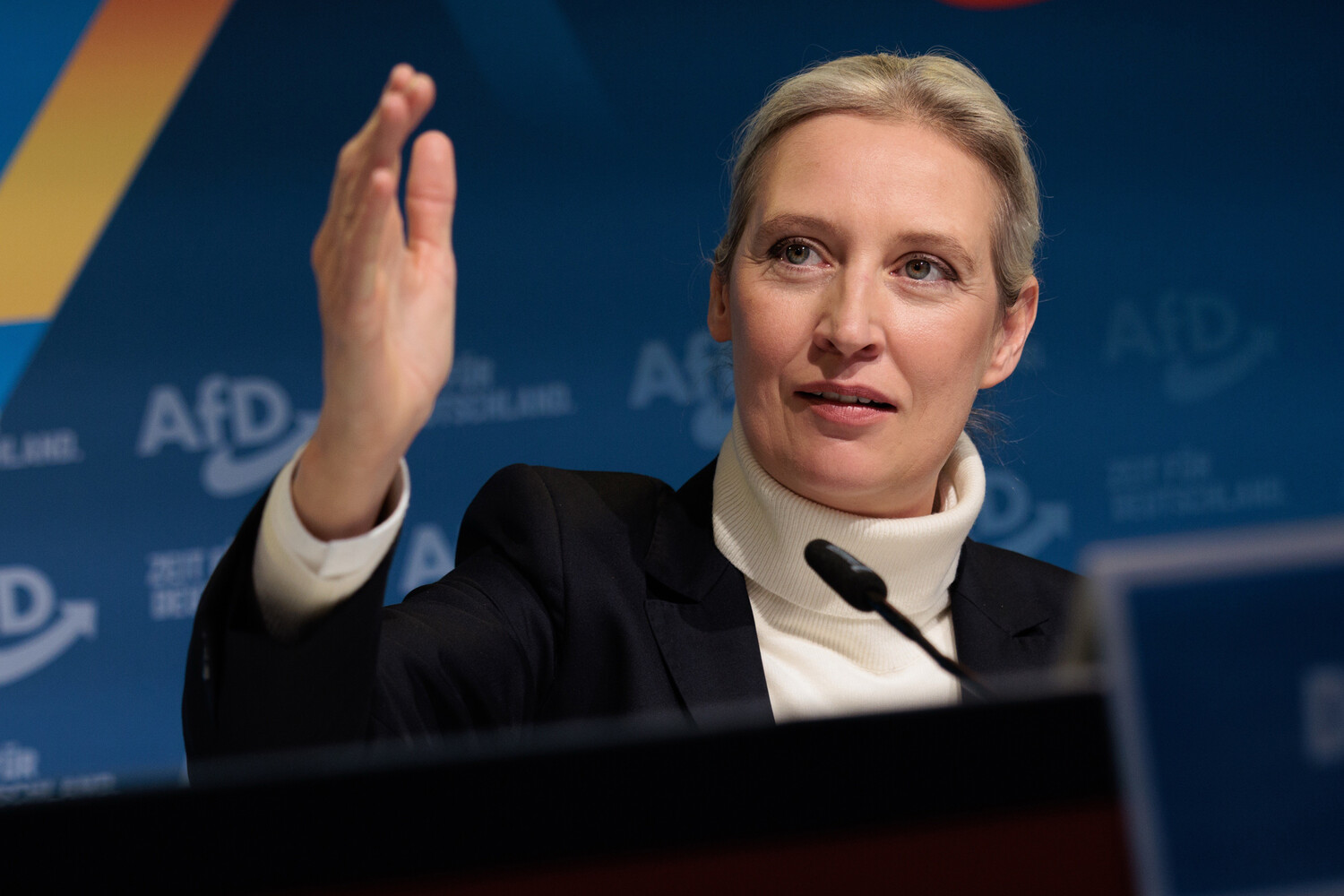 Weidel a cerut Germaniei să urmeze exemplul SUA după acordul Trump–Putin: „Așa se face!”