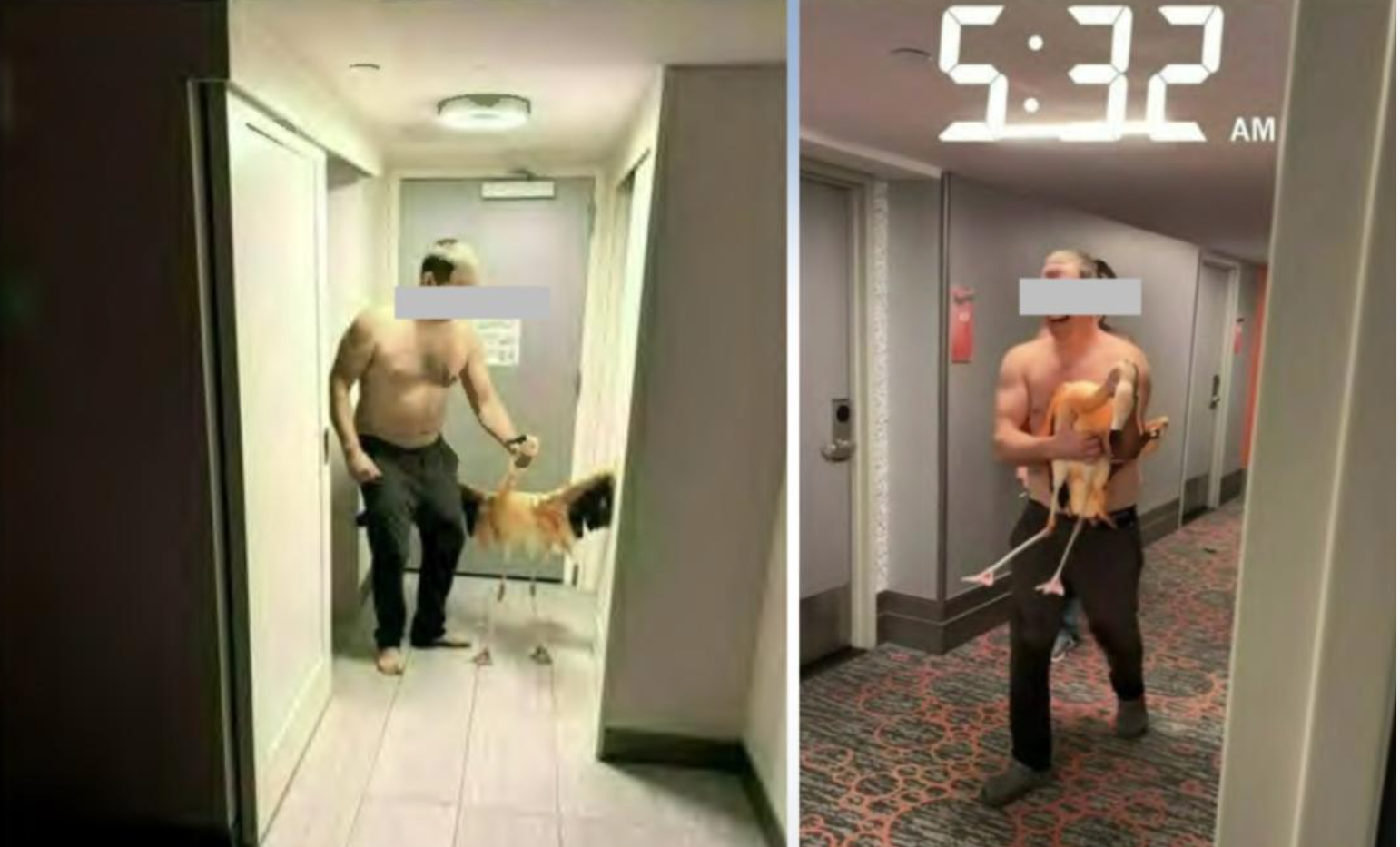 A furat un flamingo dintr-un hotel din Las Vegas și l-a dus în cameră! Un turist riscă închisoarea