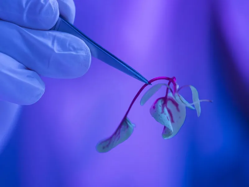 OpenAI și Anthropic deschid un nou front de business. Giganții AI intră masiv în Biotehnologie