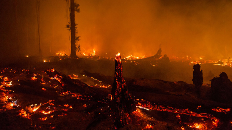 Indonezia, acuzată de neglijență gravă în gestionarea incendiilor forestiere