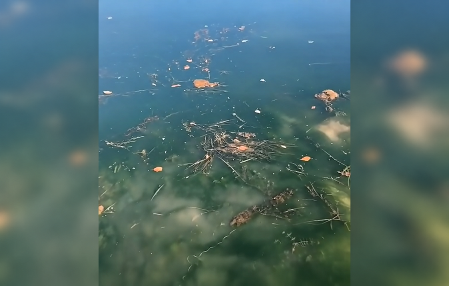 De la „Moldova Europeană” la fecale în Nistru! Imagini îngrijorătoare de la Soroca