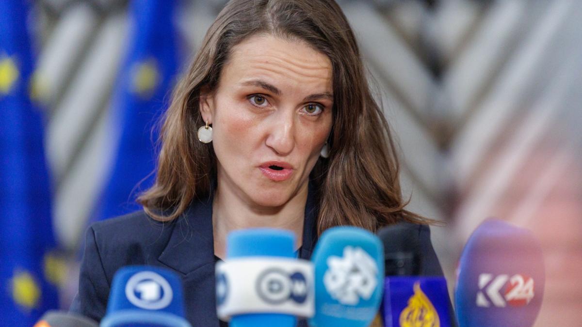 Скандал в Румынии: Оана Цою подписала инициативу об ограничении права вето в ЕС — Сенат потребовал отказаться от неё